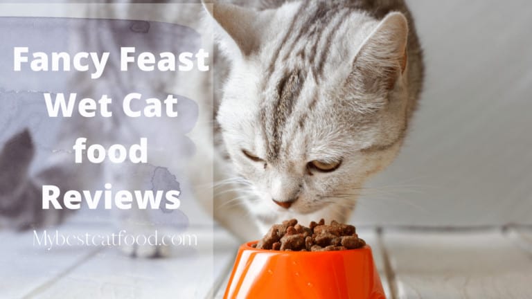 Fancy Feast Wet Cat food Reviews | Where is Fancy Feast Made?