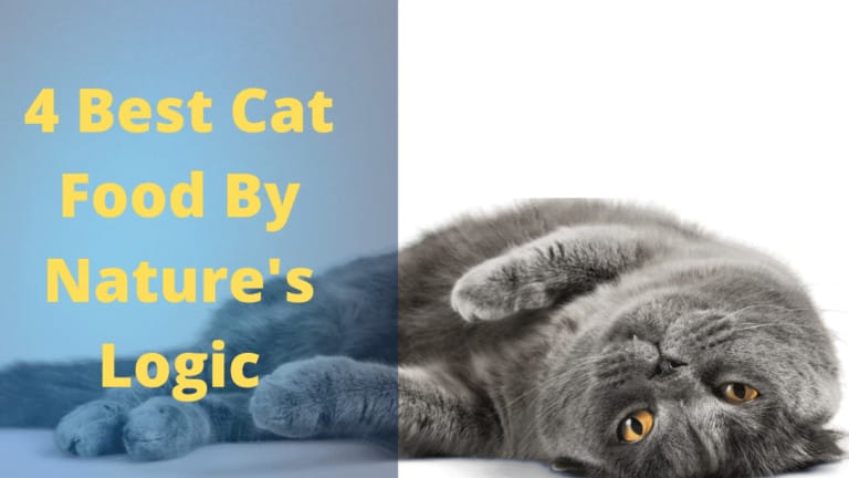 Nature's Logic Cat Food Reviews