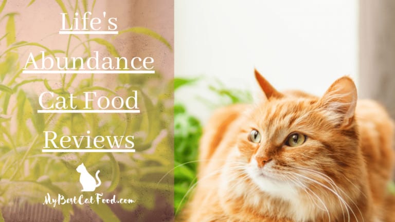 Top 3 Lifes Abundance Cat Food Reviews | My Best Cat Food