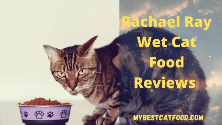 Rachael Ray Wet Cat Food Reviews | Best Variety Cat Food