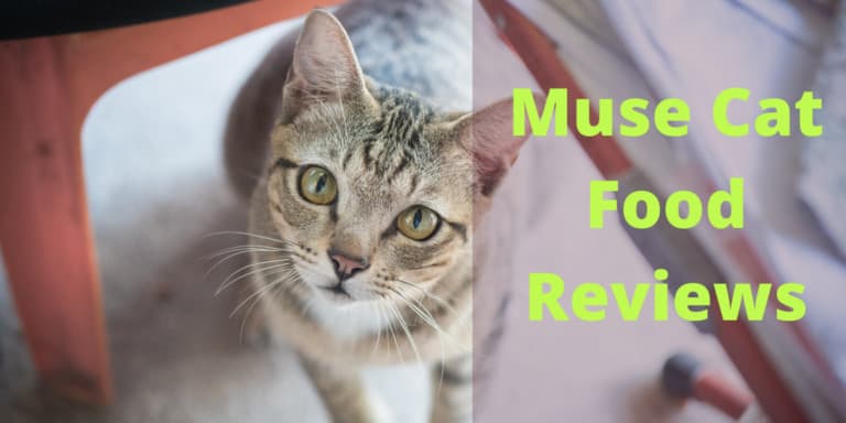 Muse Cat Food Reviews | Best Muse Dry and Wet Food Analysis