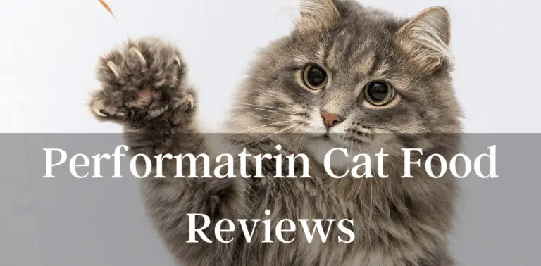 Performatrin Cat Food Reviews | 4 Best Performatrin Cat Food