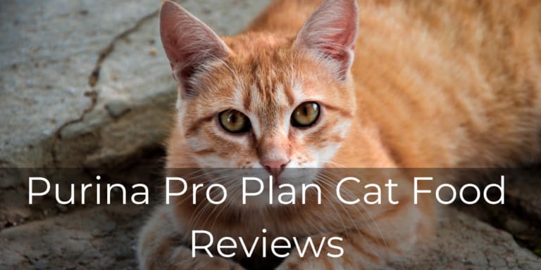 Purina Pro Plan Cat Food Reviews | Top 3 Pro Plan Analyzed and Benefits
