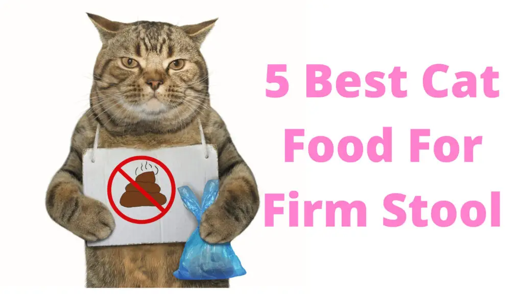 Best Cat Food For Firm (Hard) Stool