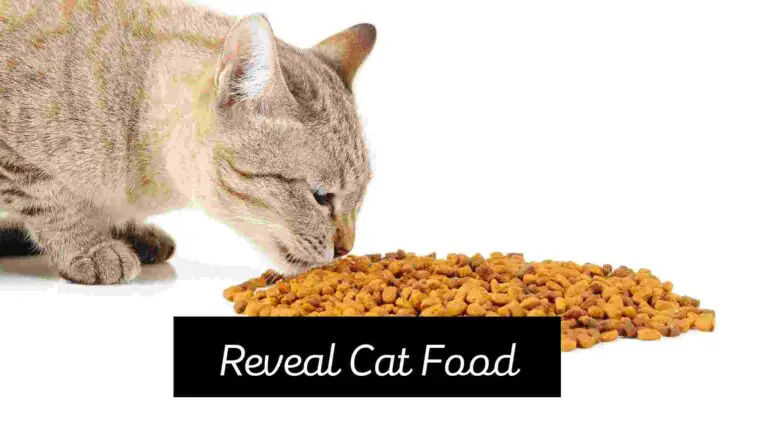 Reveal Cat Food Review