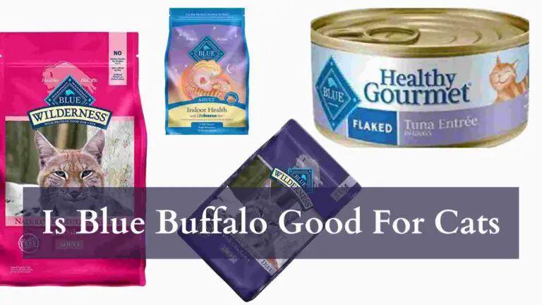 is blue buffalo good for cats