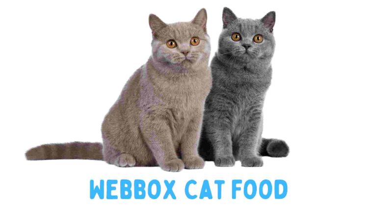 webbox cat food review