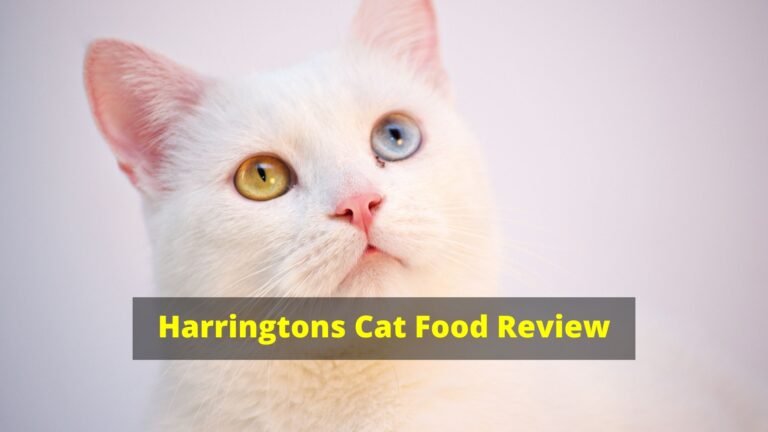 Harringtons Cat Food Review