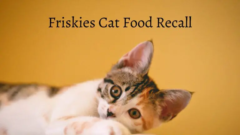 friskies cat food recall 2021