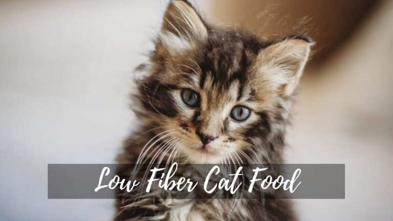 low fiber cat food
