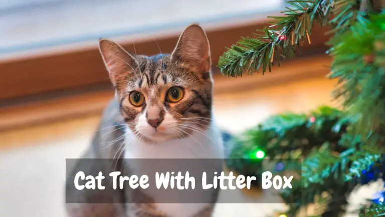 cat tree with litter box
