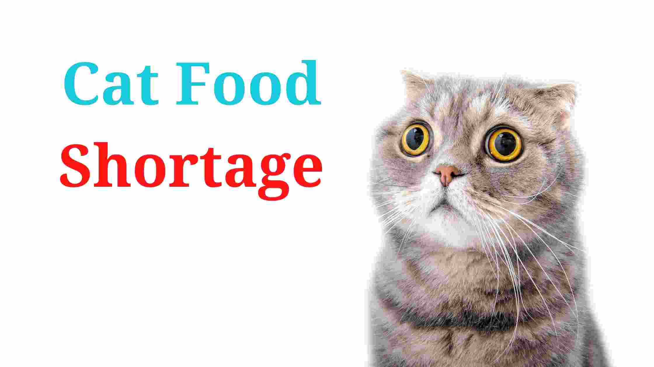 cat food shortage