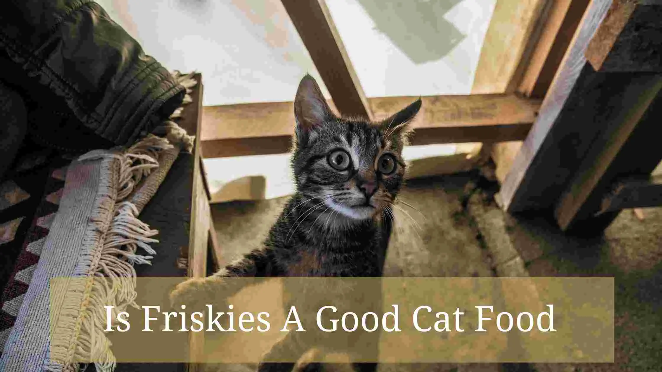 Is Friskies A Good Cat Food