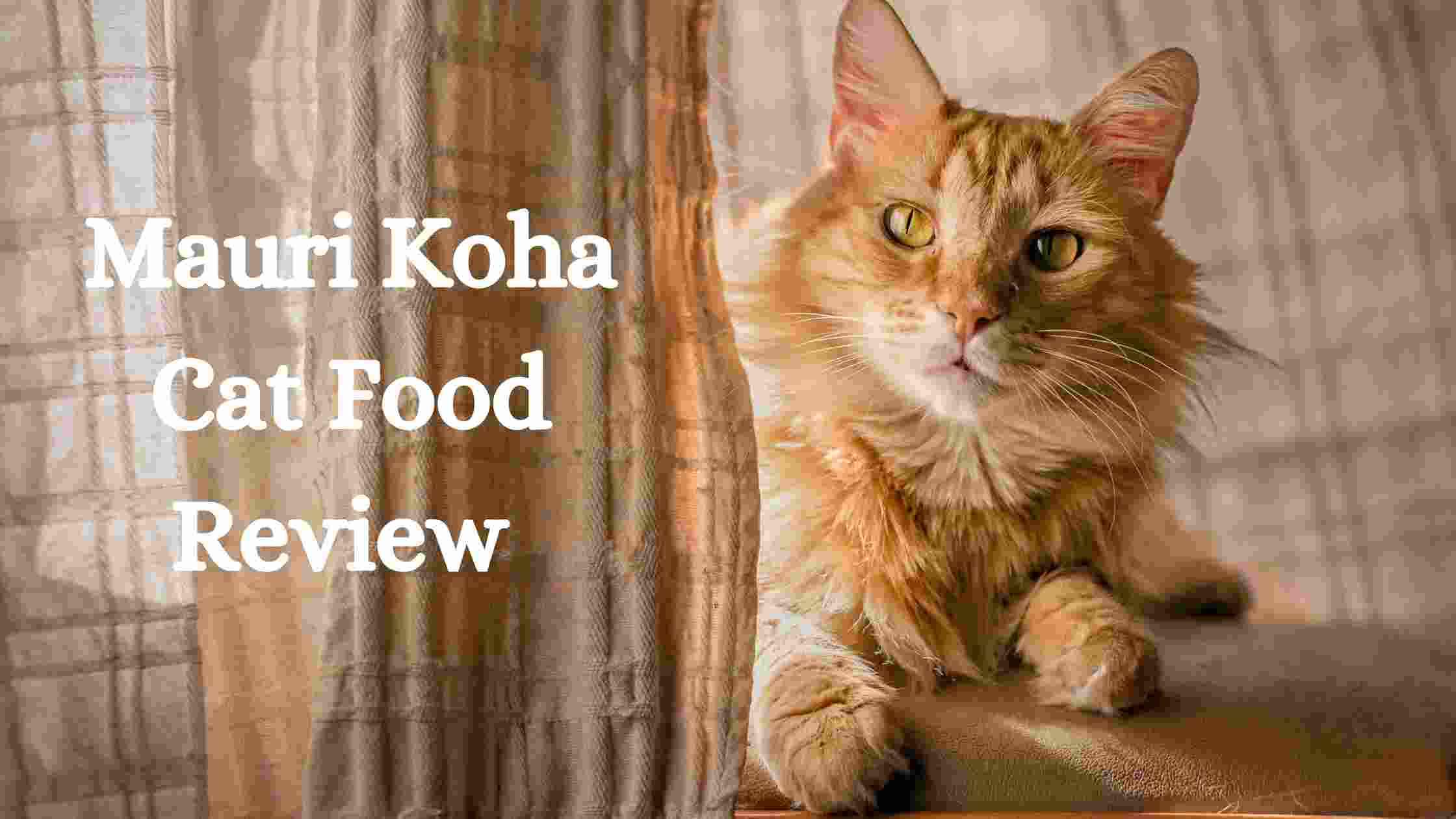 Mauri Koha Cat Food Review