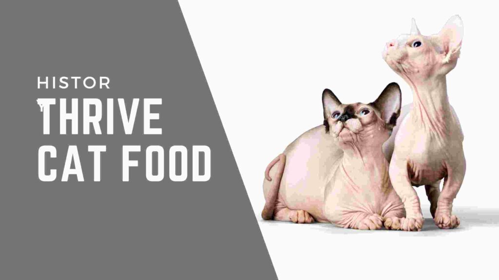 Thrive Cat Food Recall Review 2021: Is It A Good Brand?