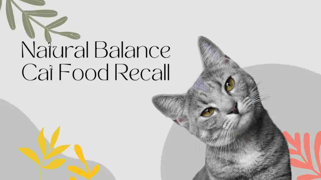 Natural Balance Cat Food Recall (2022) - Is It A Good Brand?