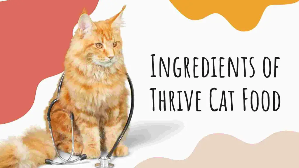 Thrive Cat Food Recall Review 2021: Is It A Good Brand?