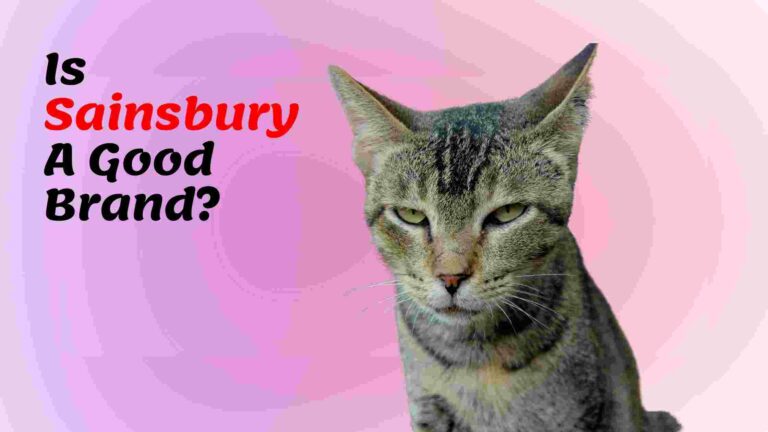 Sainsbury cat food recall