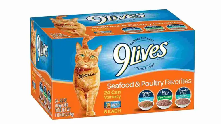 9 Lives Cat Food Recall