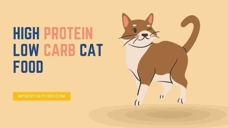 High Protein Low Carb Cat Food