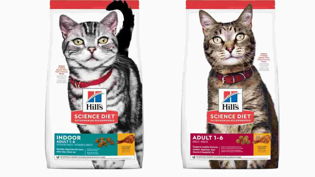 Hill's Science Diet Cat Food Shortage & Recall: Why Hill's Out of Stock?