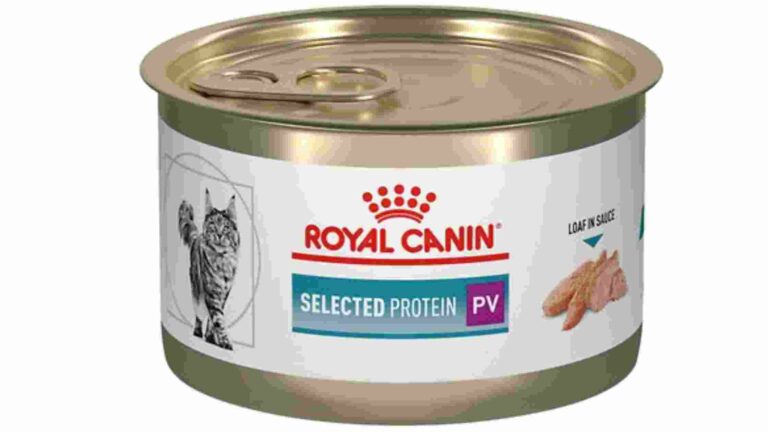 Royal Canin PV Cat Food Discontinued
