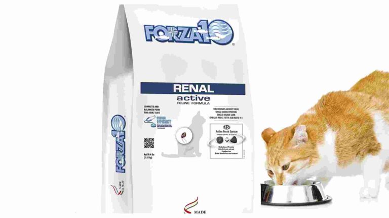 forza10 cat food review
