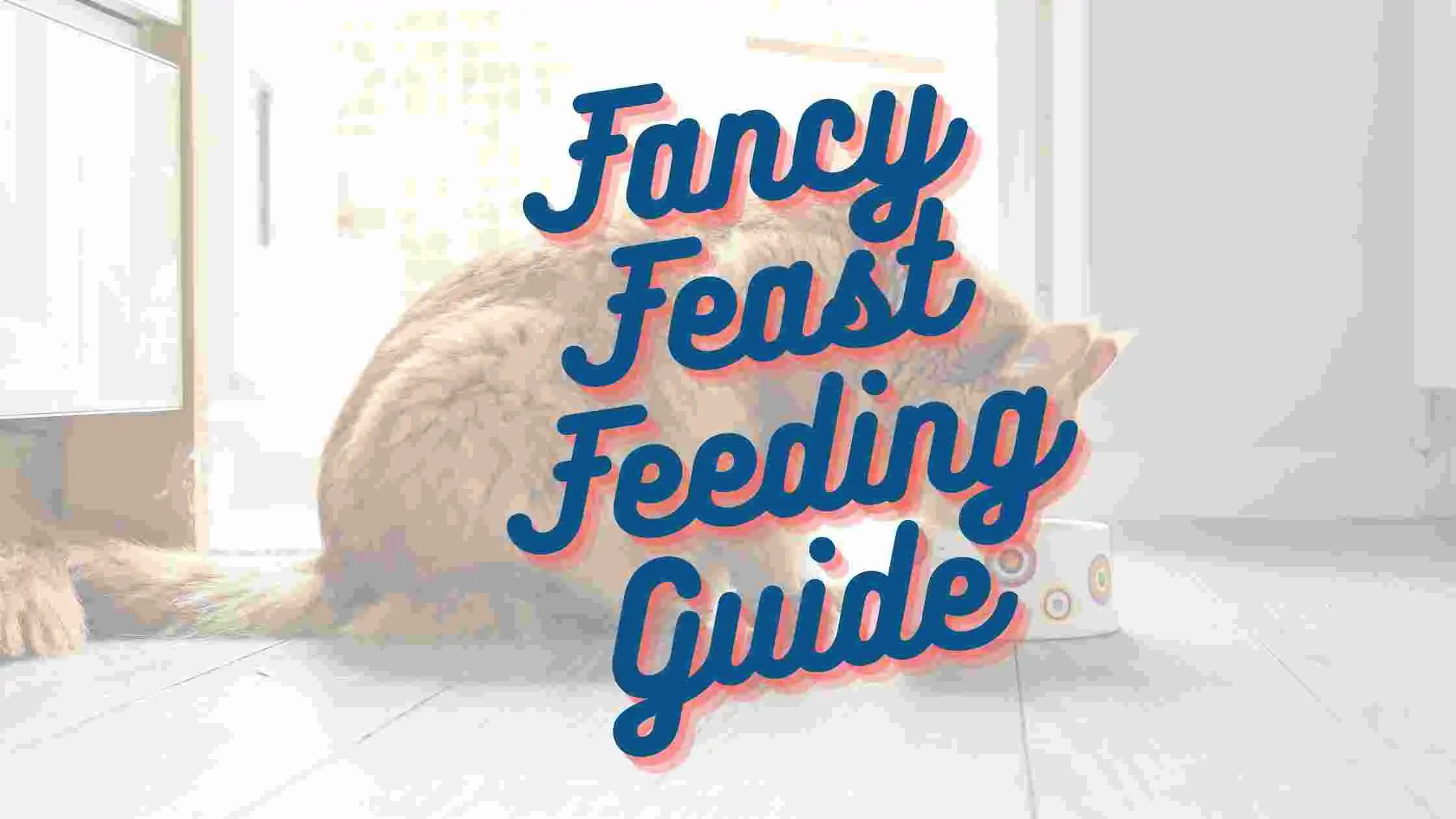 Fancy Feast Feeding Guide