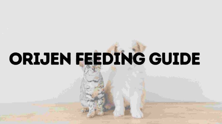 Orijen Feeding Guide
