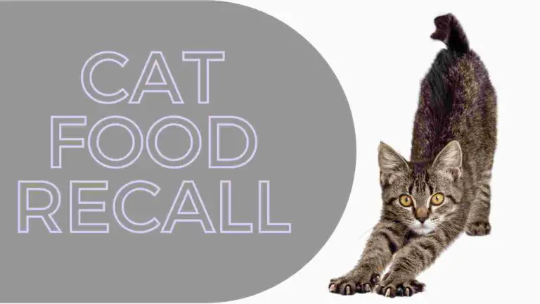 Cat Food Recall 2022