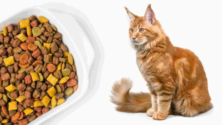 What cat food has been discontinued in 2022
