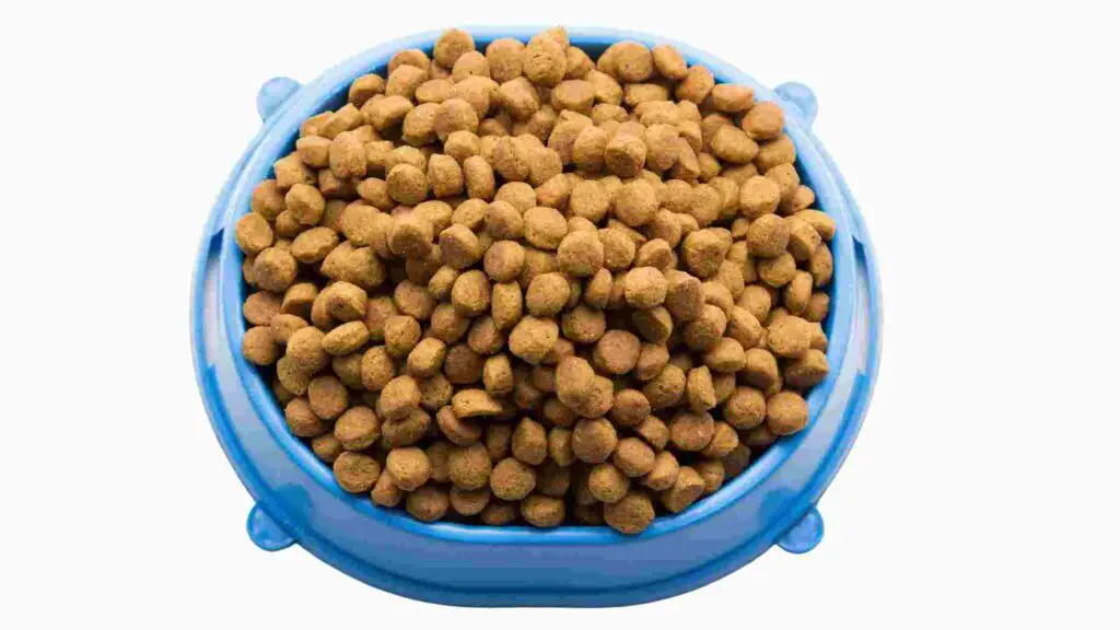 Nutra Nuggets Cat Food Review (2022) - Recall, & Ingredients
